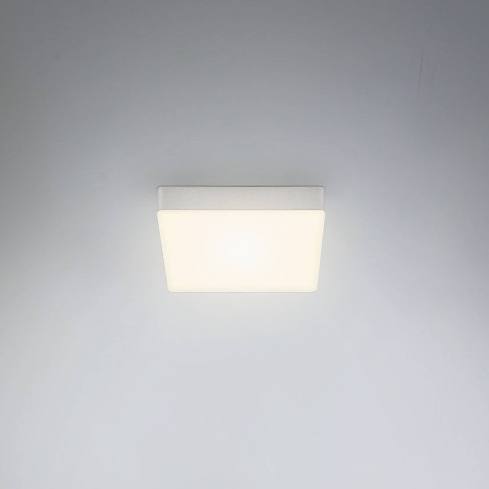 LED-Deckenleuchte Flame, 15,7 x 15,7 cm, silber günstig online kaufen