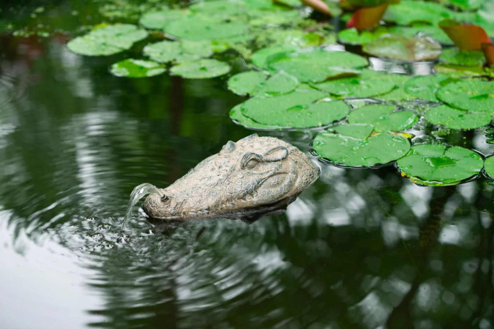 Ubbink Wasserspeier Krokodil günstig online kaufen