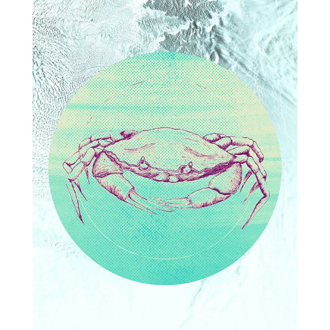 Komar Wandbild Crab Sea Tiere B/L: ca. 40x50 cm günstig online kaufen