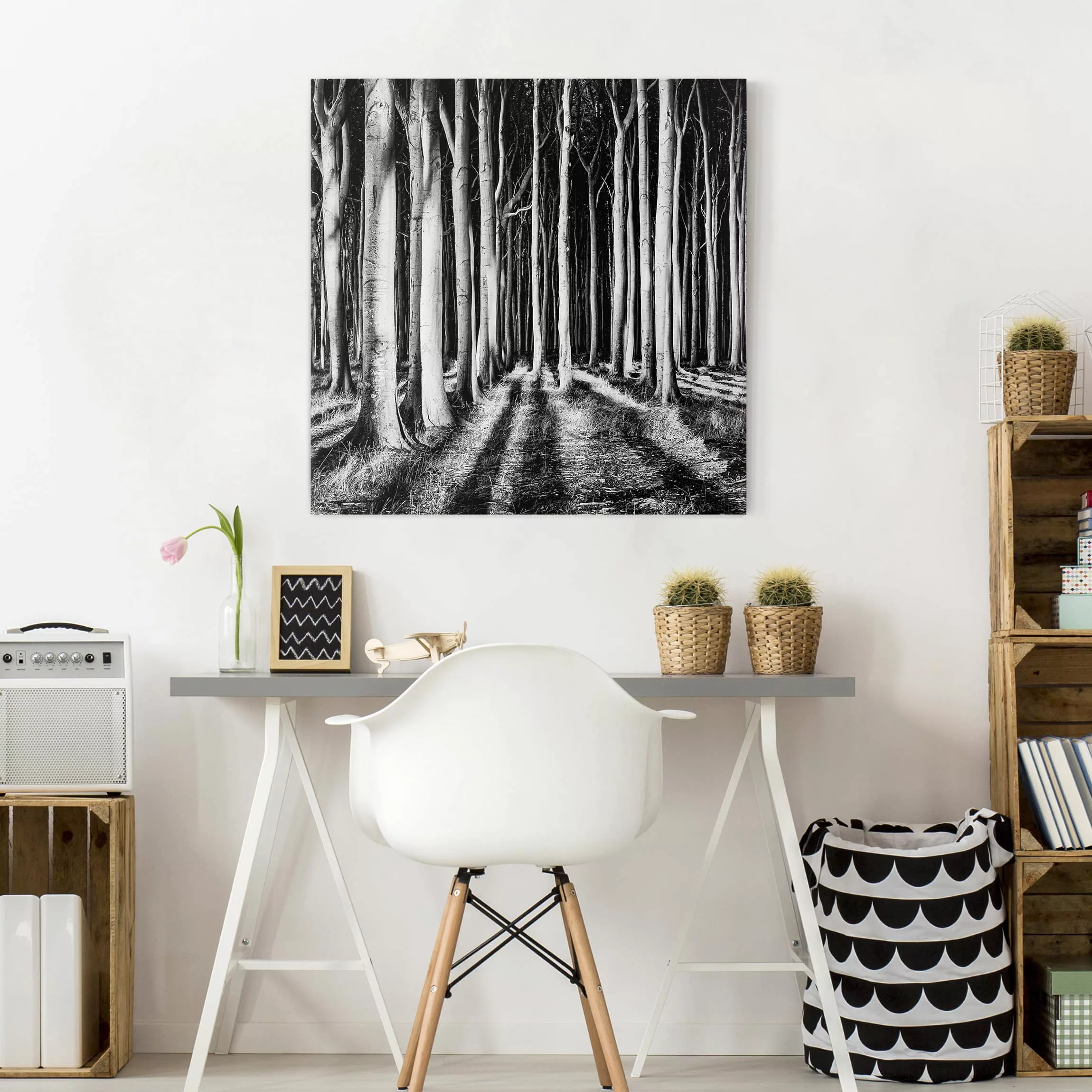 Leinwandbild Wald - Quadrat Geisterwald günstig online kaufen