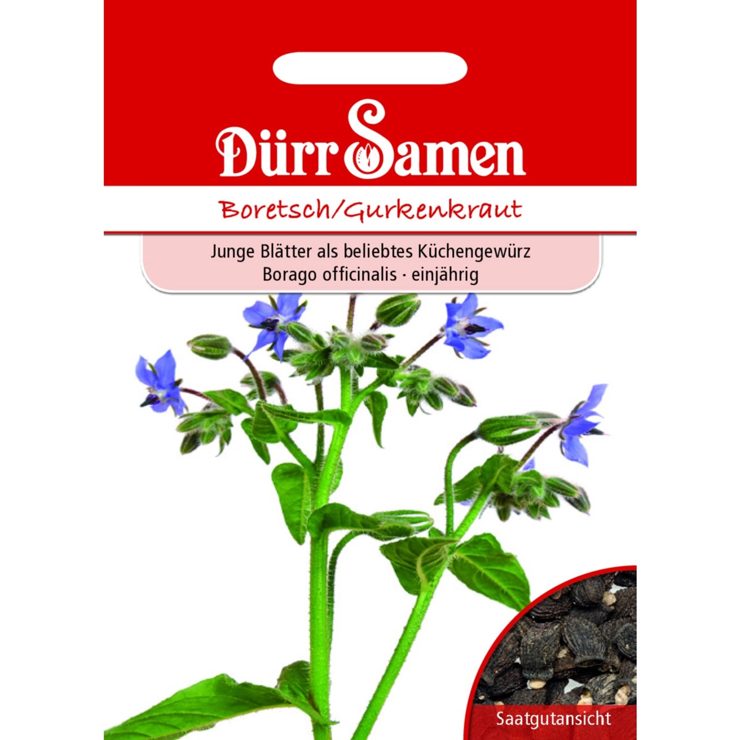 Dürr Samen Boretsch Gurkenkraut Saatgut günstig online kaufen