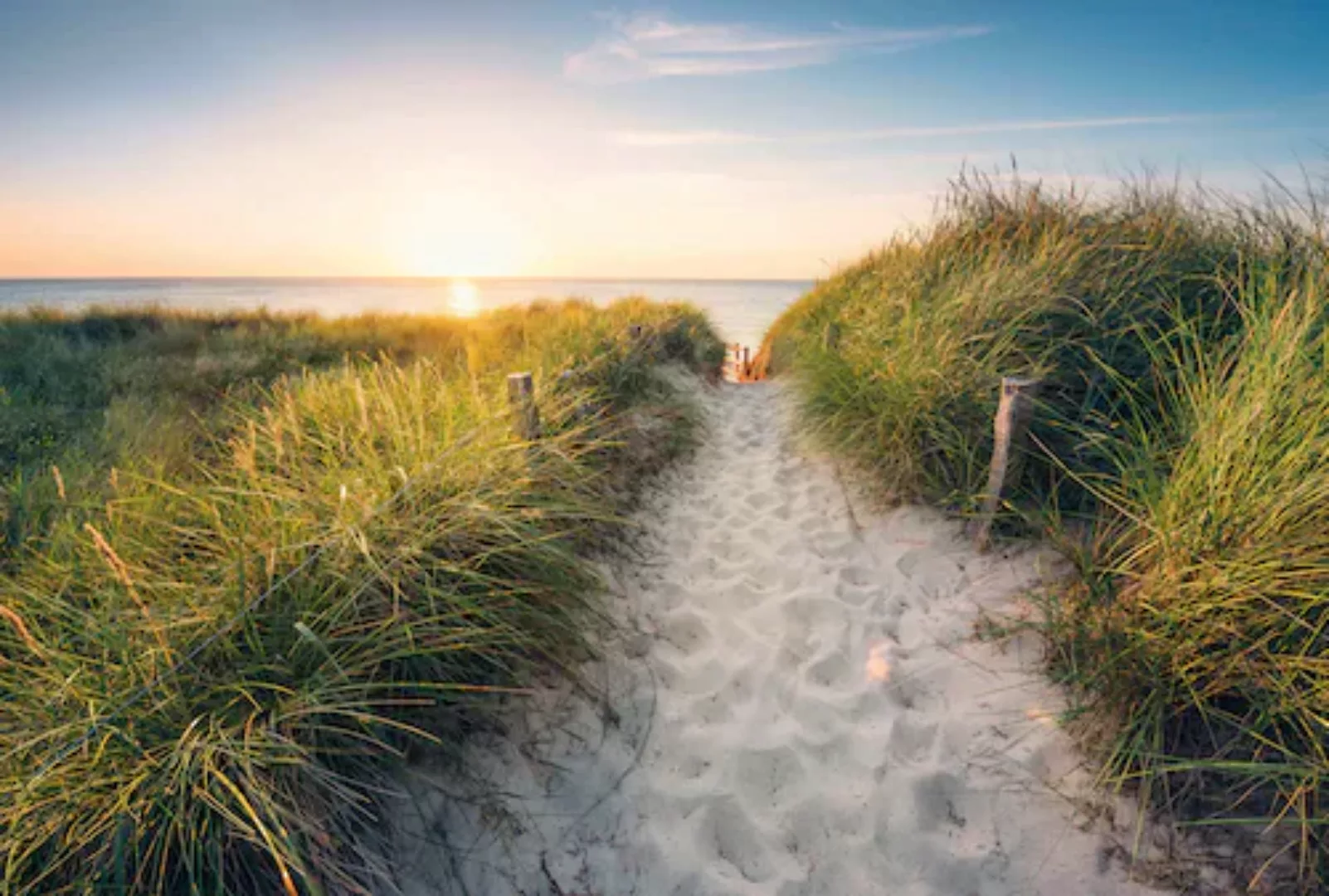 Komar Fototapete »Vlies - Way to the Beach - Größe 368 x 248 cm«, bedruckt, günstig online kaufen