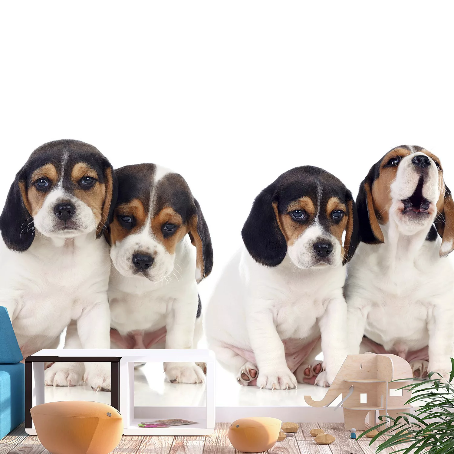 home24 Vlies Fototapete Sad Puppies günstig online kaufen