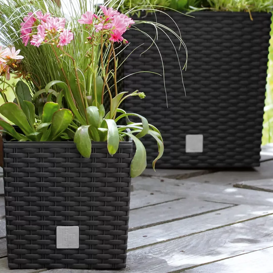 Blumentopf Rato Low Anthrazit 32x32x33cm günstig online kaufen