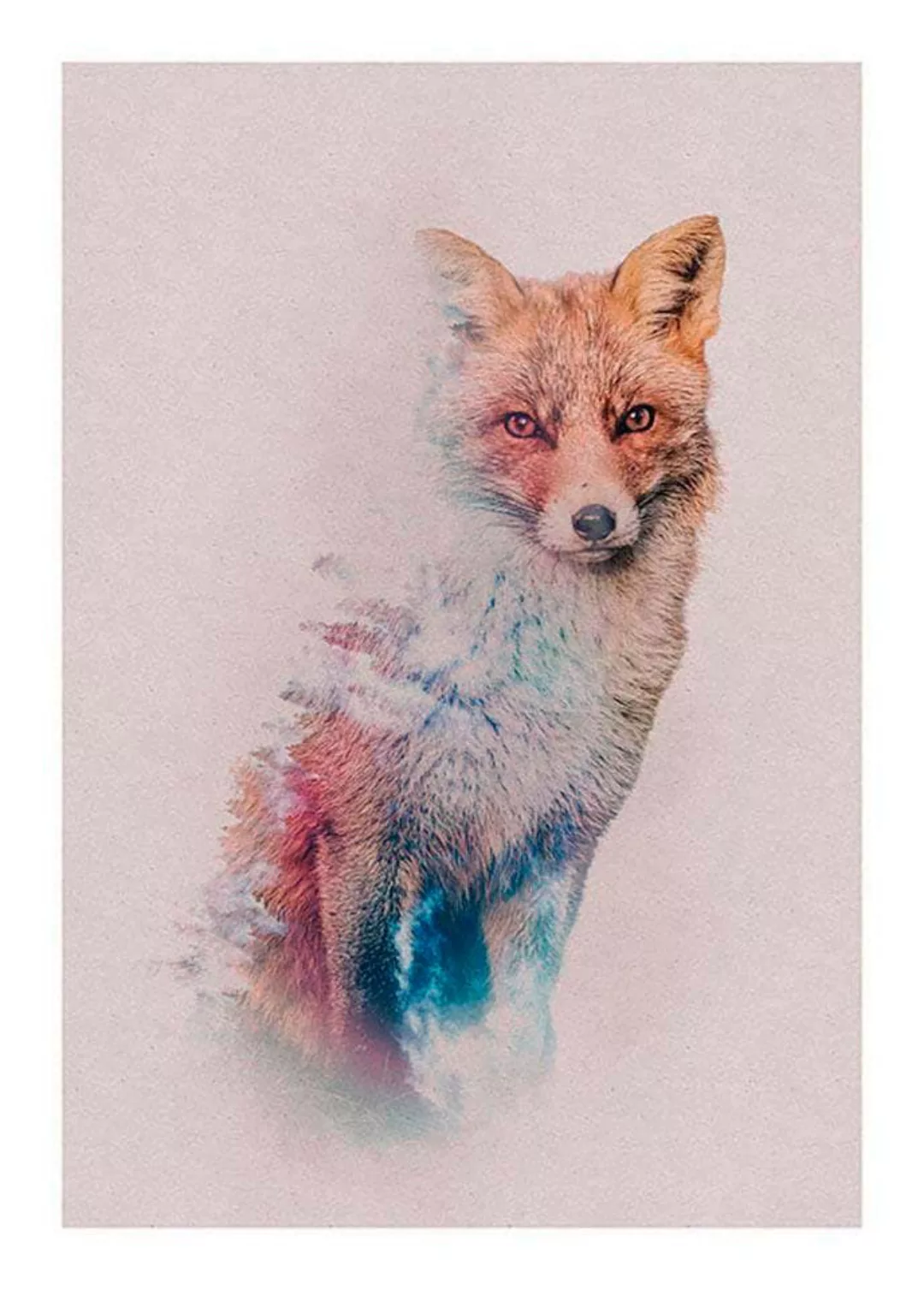 Komar Poster "Animals Forest Fox", Tiere, (1 St.) günstig online kaufen