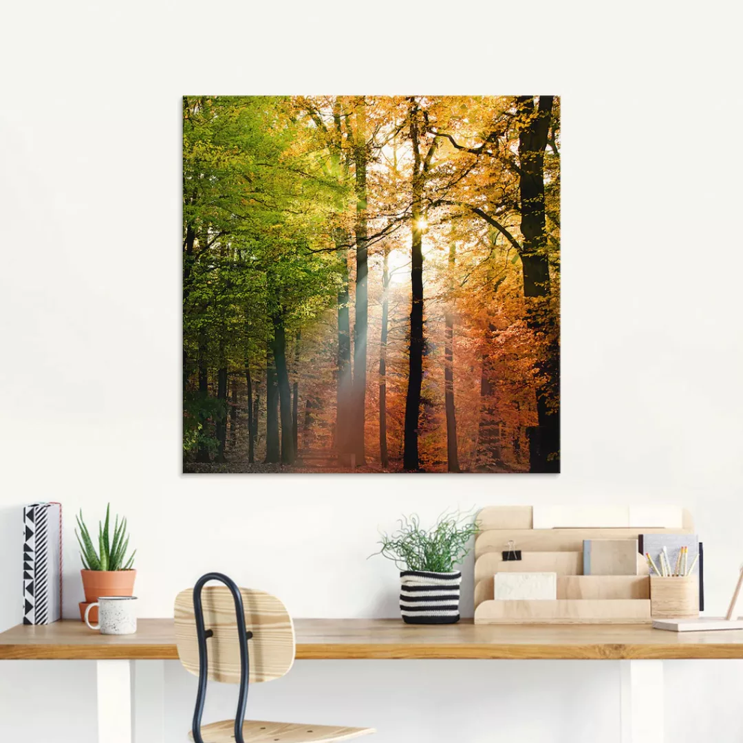 Artland Glasbild "Schöner Herbsttag 2", Wald, (1 St.), in verschiedenen Grö günstig online kaufen