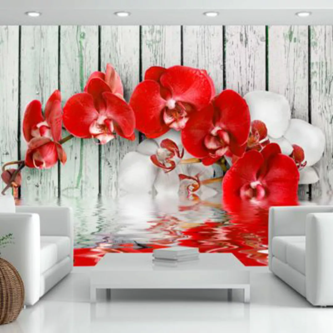 artgeist Fototapete Ruby orchid mehrfarbig Gr. 250 x 175 günstig online kaufen