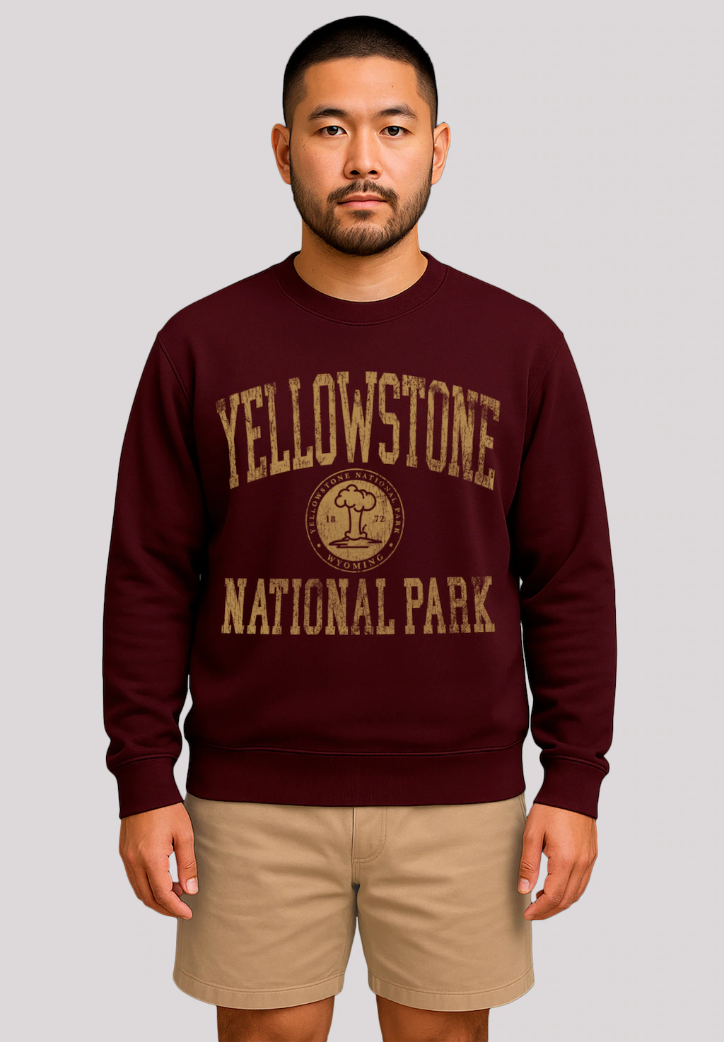 F4NT4STIC Sweatshirt "US National Parks Yellowstone Wyoming", Premium Quali günstig online kaufen