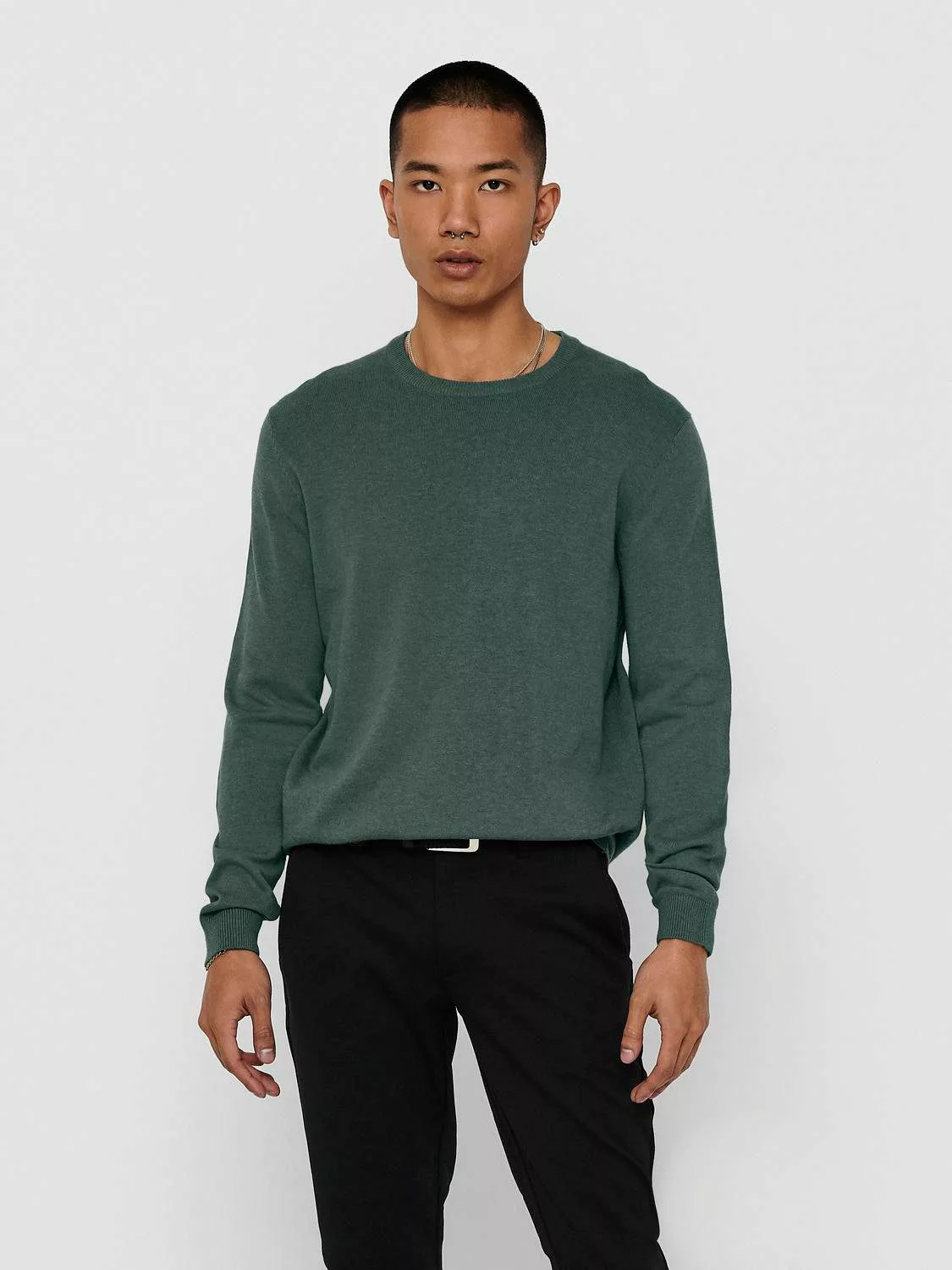 ONLY & SONS Rundhalspullover ONSALEX 12 günstig online kaufen