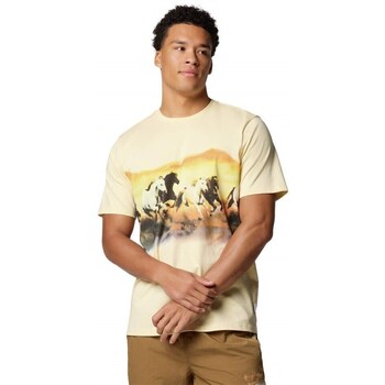 Columbia  T-Shirt Explorers Canyon günstig online kaufen