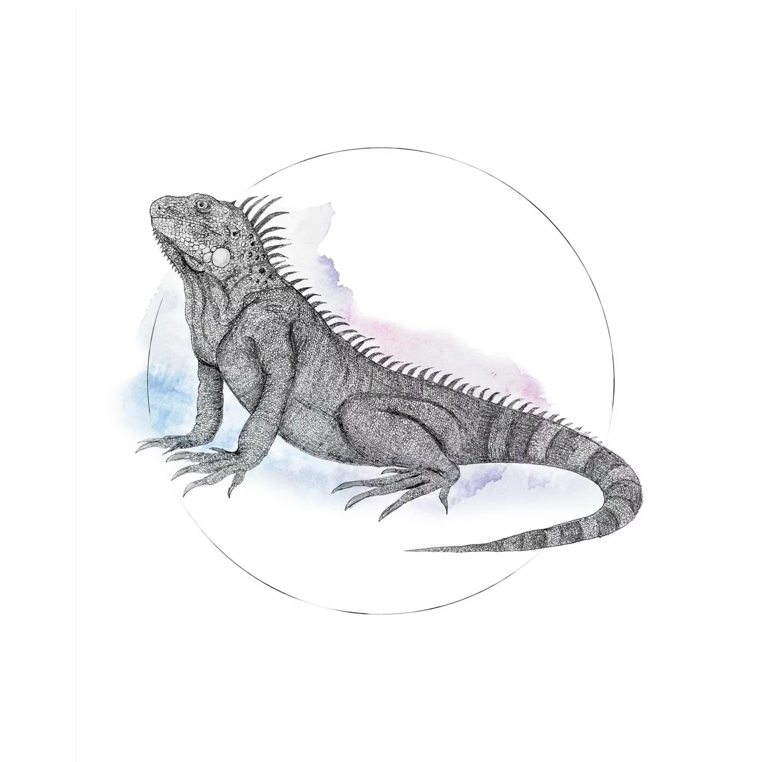 Komar Poster "Iguana Watercolor", Tiere, (1 St.), Kinderzimmer, Schlafzimme günstig online kaufen