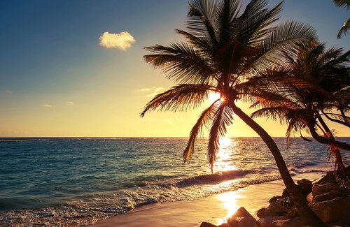 Papermoon Fototapete »PALMEN-STRAND SONNENUNTERGANG NATUR MEER LANDSCHAFT X günstig online kaufen