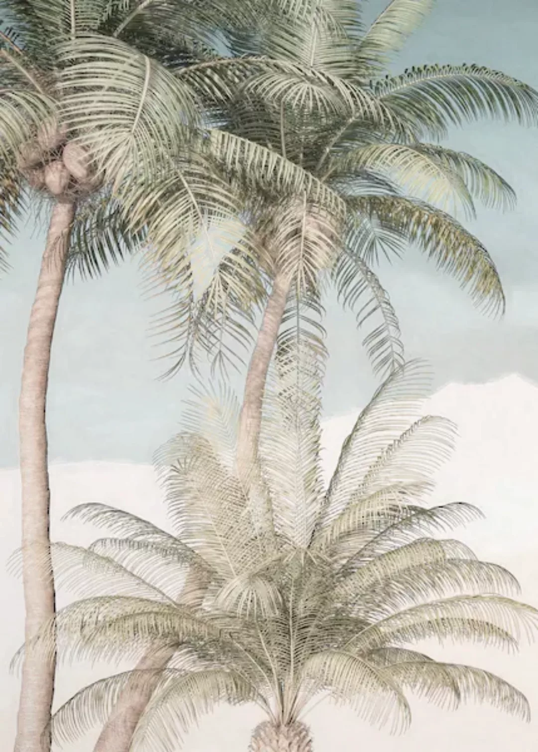 KOMAR Vlies Fototapete - Palm Oasis - Größe 200 x 280 cm mehrfarbig günstig online kaufen