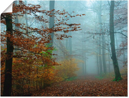 Artland Wandbild »Nebel im Herbstwald«, Wald, (1 St.), als Leinwandbild, Po günstig online kaufen