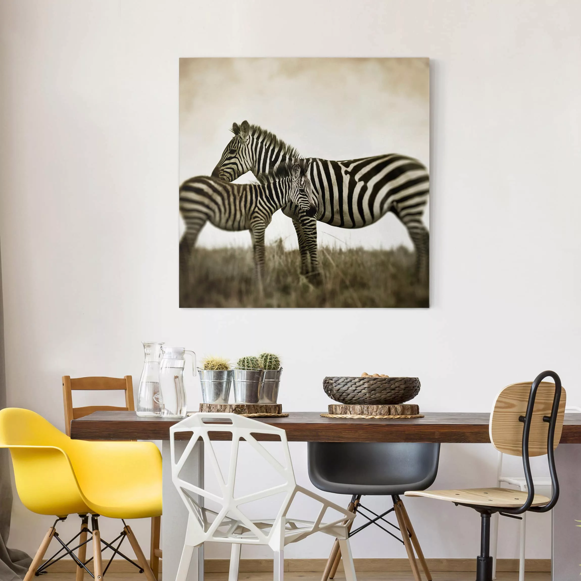 Leinwandbild Tiere - Quadrat Zebrapaar günstig online kaufen