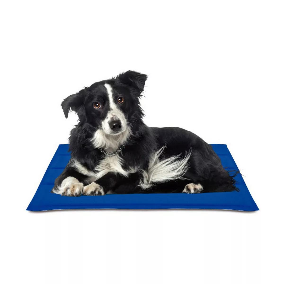 Hundeteppich Nayeco Blau Kühlgel Gefertigt (50 X 90 Cm) günstig online kaufen