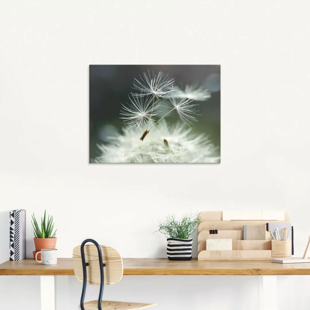 Artland Glasbild "Pusteblume Facility", Blumen, (1 St.) günstig online kaufen