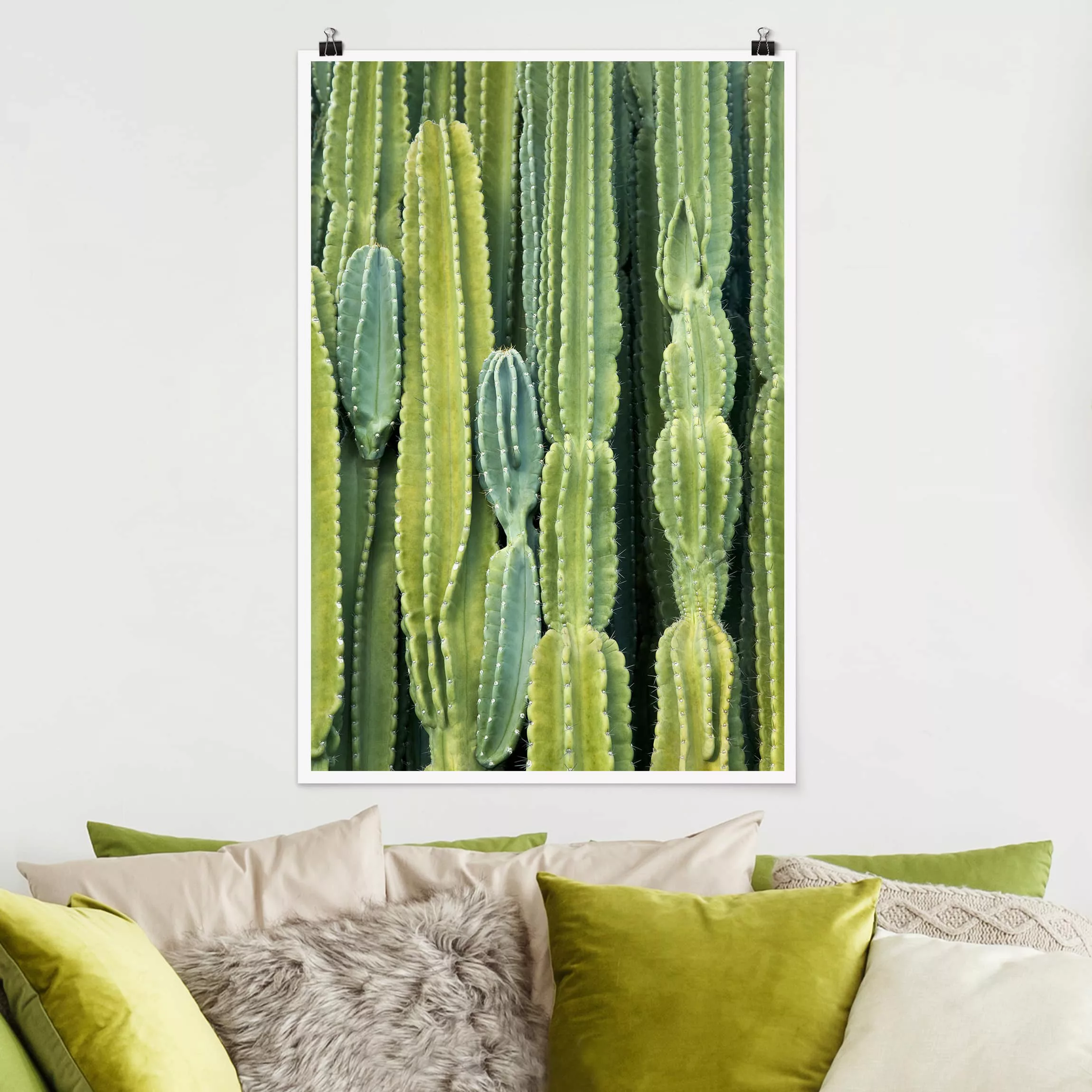 Poster - Hochformat Kaktus Wand günstig online kaufen