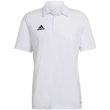 adidas  T-Shirts & Poloshirts - günstig online kaufen