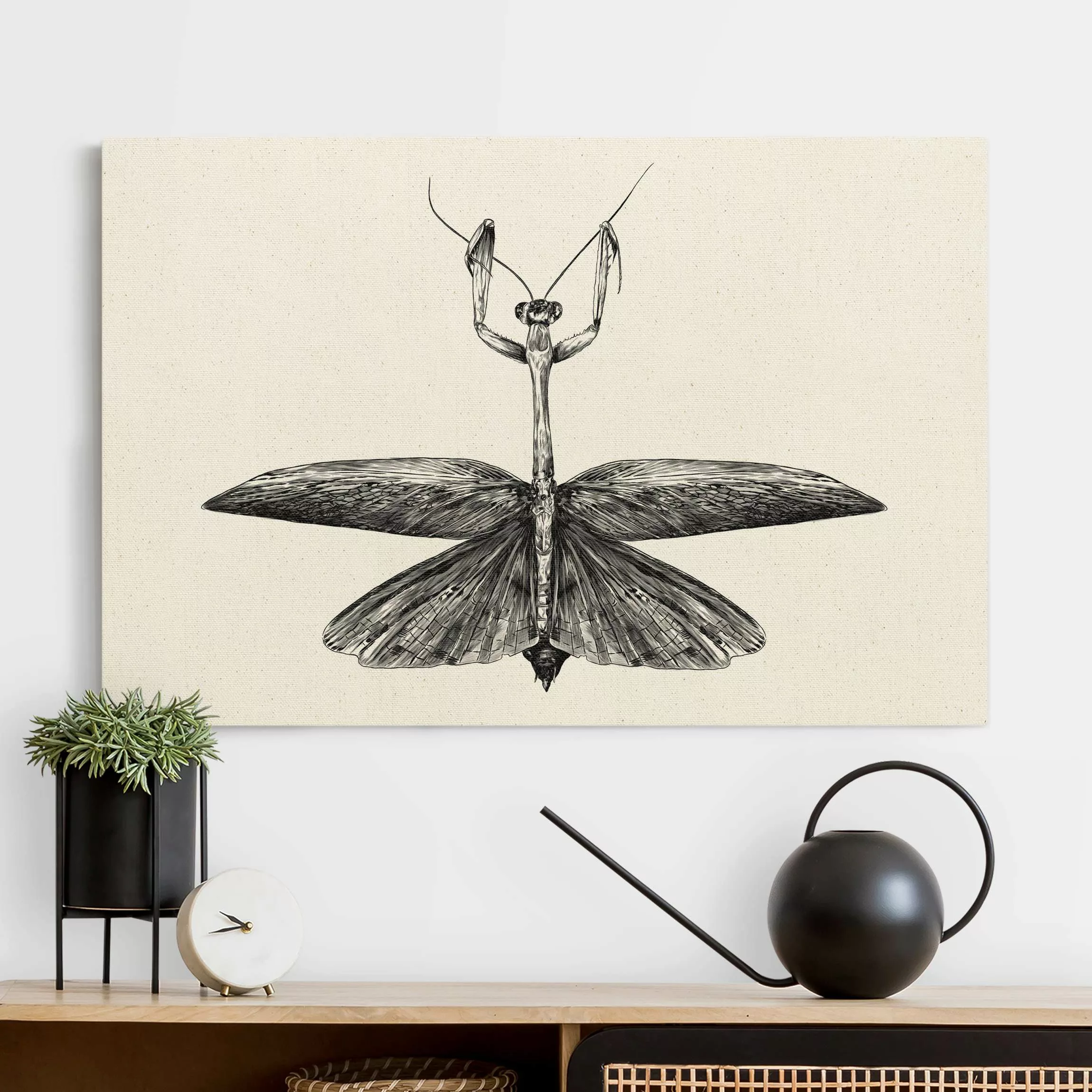 Leinwandbild auf Naturcanvas Illustration stolze Mantis Schwarz günstig online kaufen