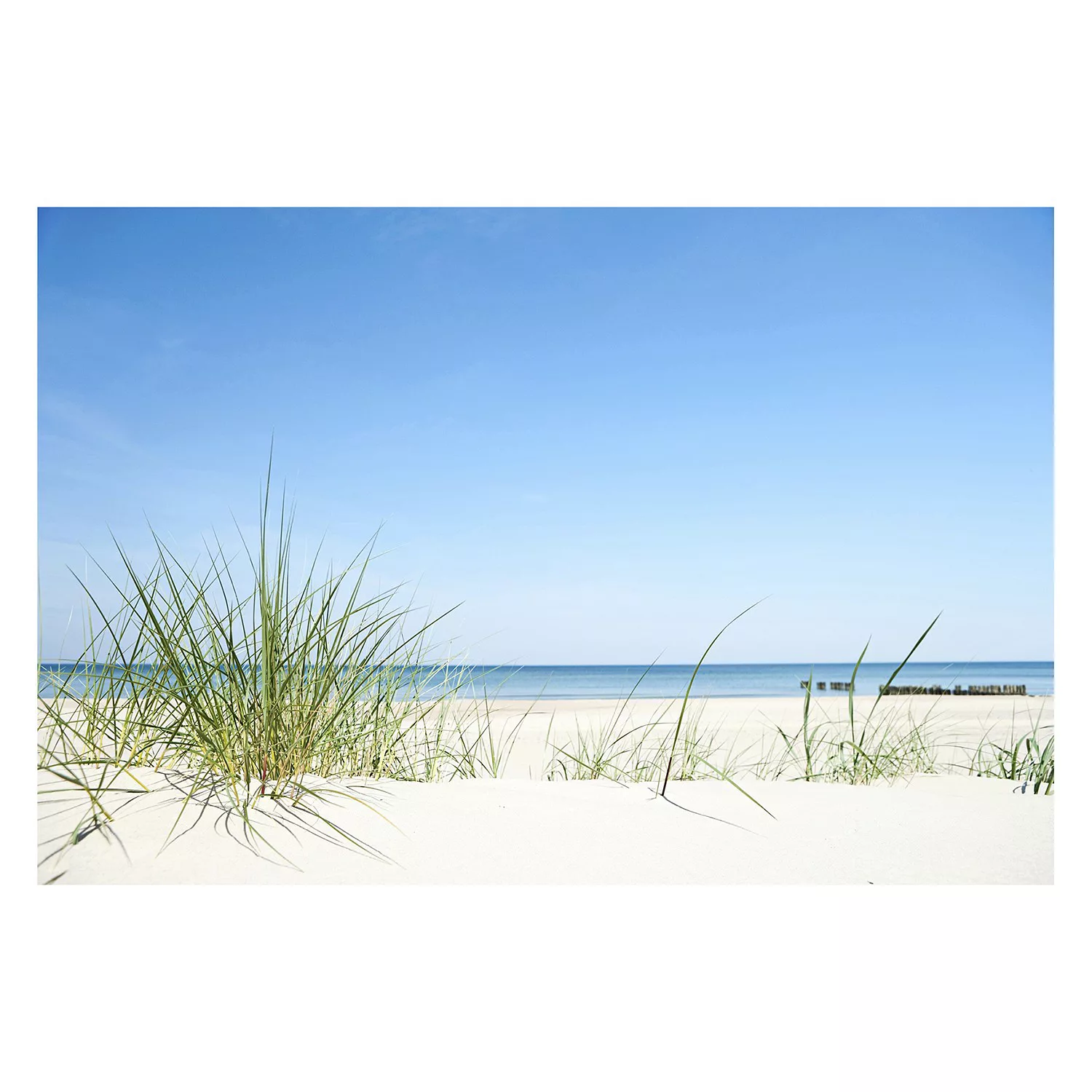 Bilderwelten Fototapete Strand Ostseeküste blau Gr. 288 x 190 günstig online kaufen