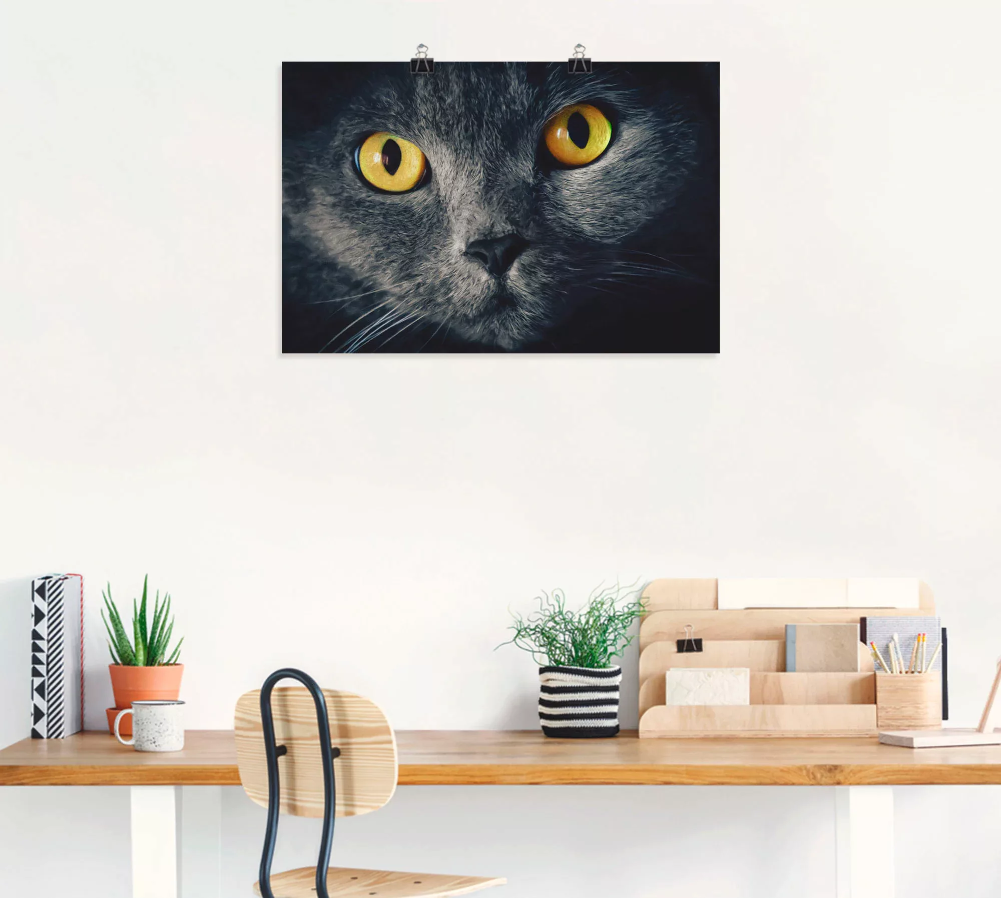 Artland Wandbild "Katzenaugen", Haustiere, (1 St.) günstig online kaufen