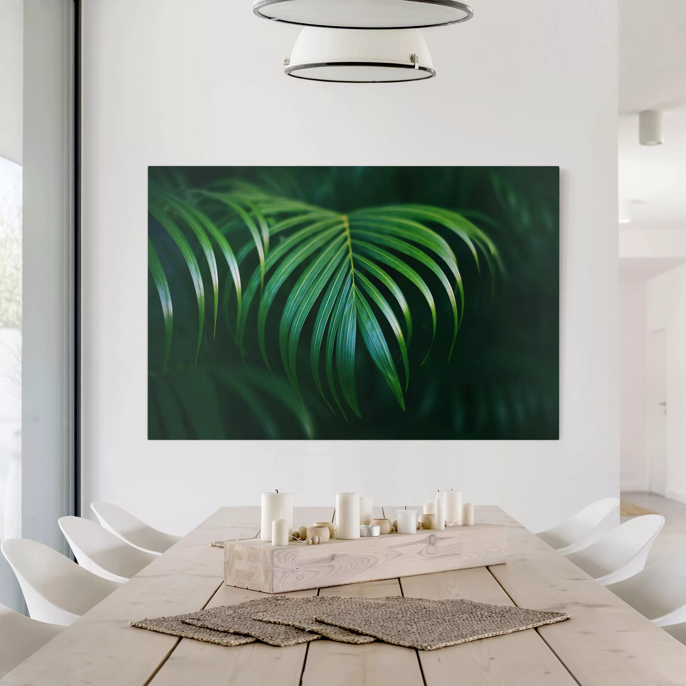 Leinwandbild Botanik - Querformat Palmenwedel günstig online kaufen