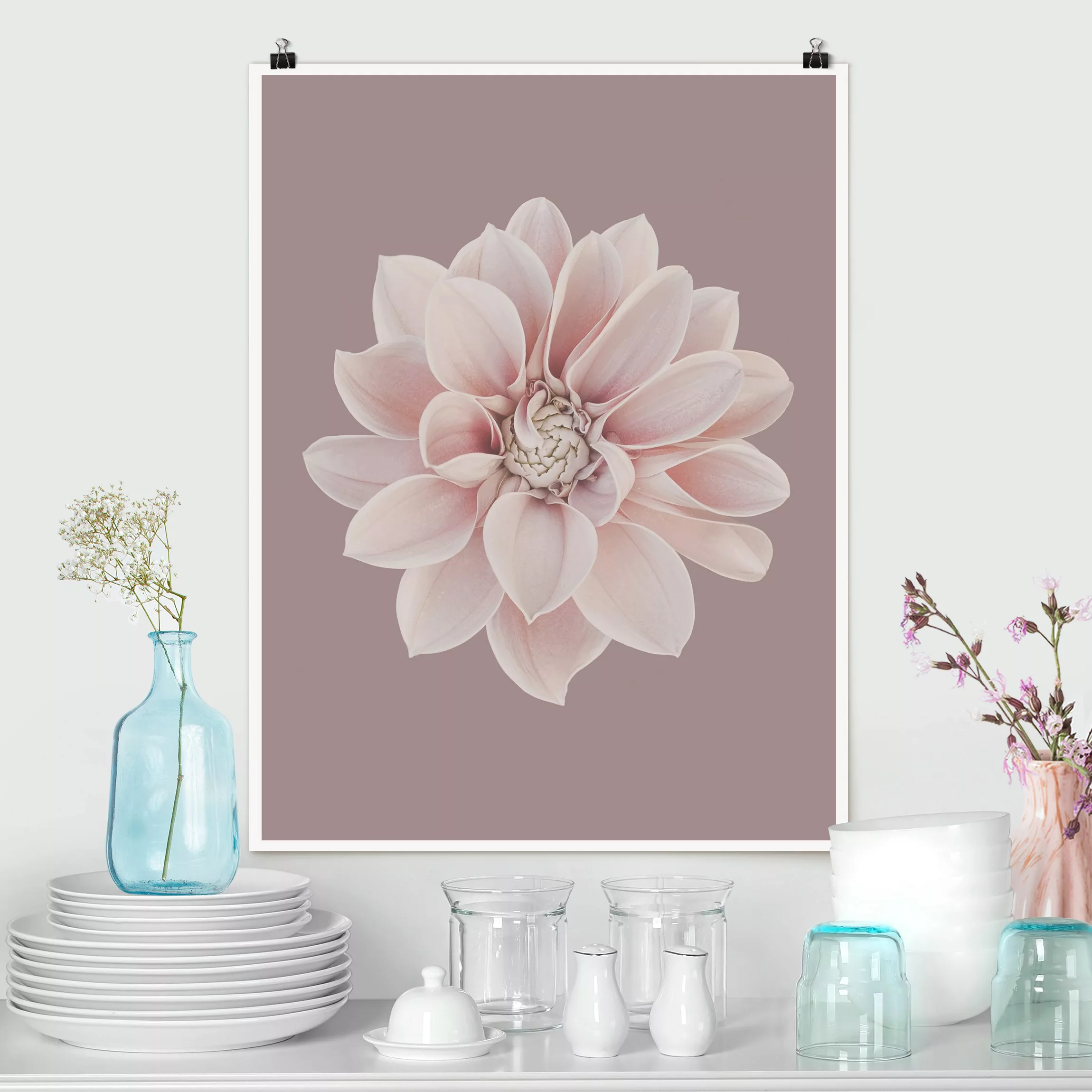 Poster Fotografie Dahlie Blume Lavendel Weiß Rosa günstig online kaufen