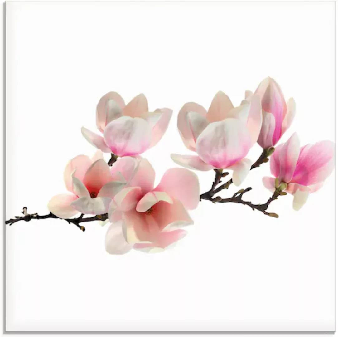 Artland Glasbild »Magnolie«, Blumen, (1 St.) günstig online kaufen