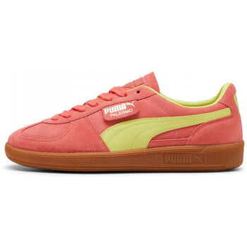 Puma  Sneaker Palermo günstig online kaufen