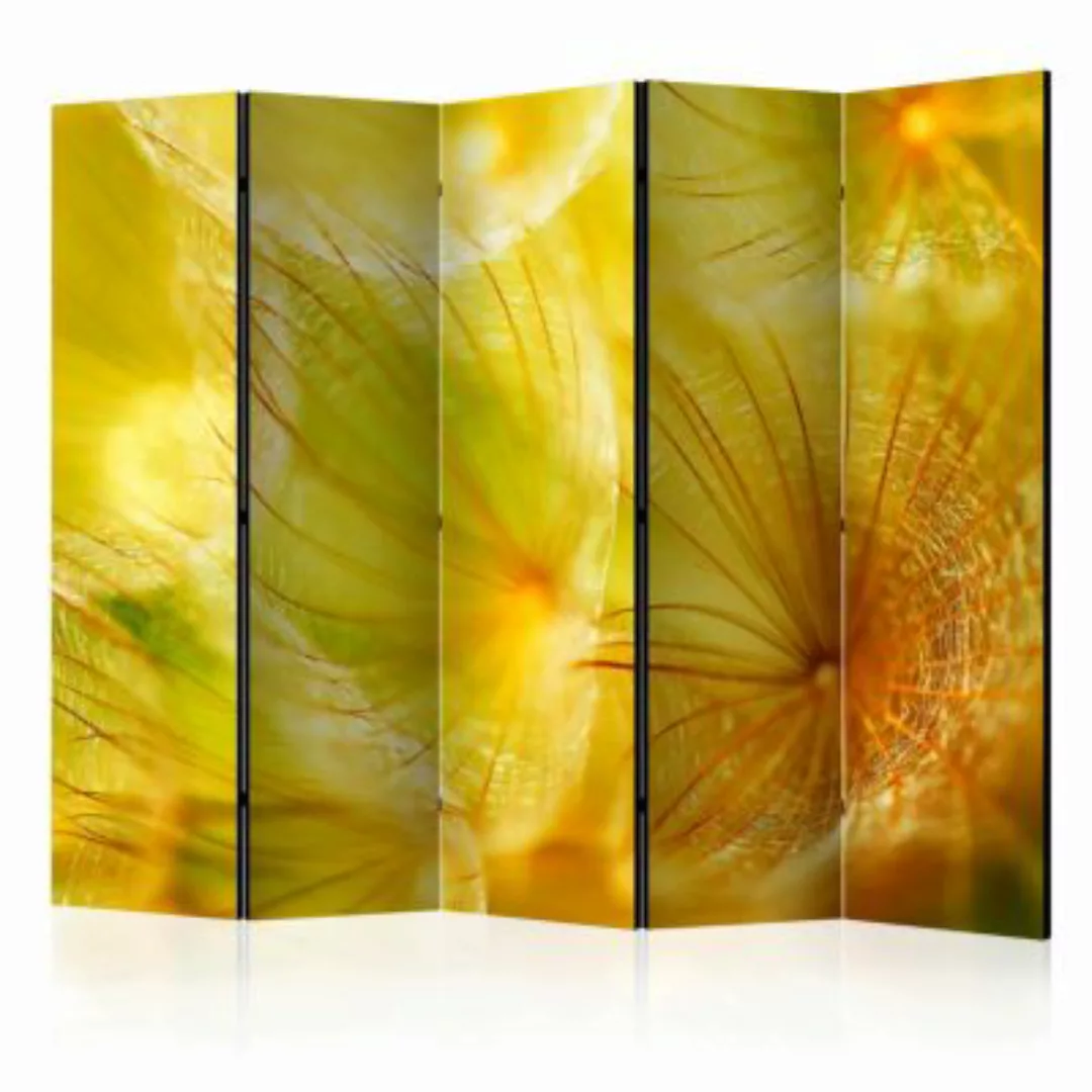 artgeist Paravent Soft dandelion flower II [Room Dividers] gelb Gr. 225 x 1 günstig online kaufen
