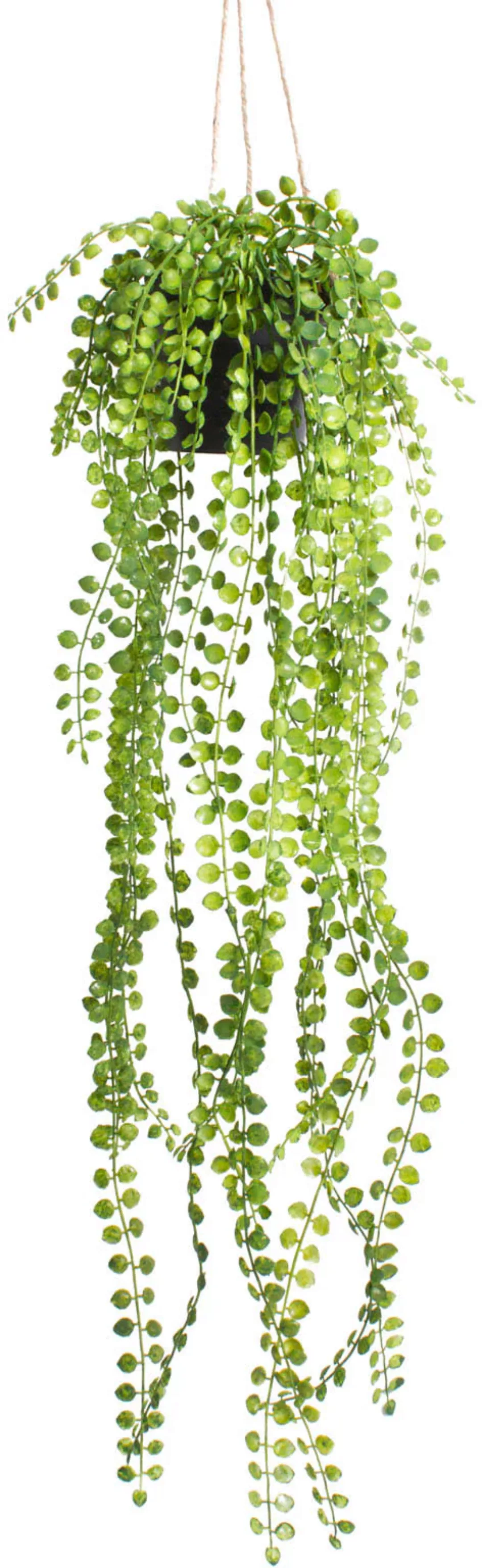 Emerald Kunstpflanze Ficus Pumila Hängend Mit Topf 60 Cm günstig online kaufen