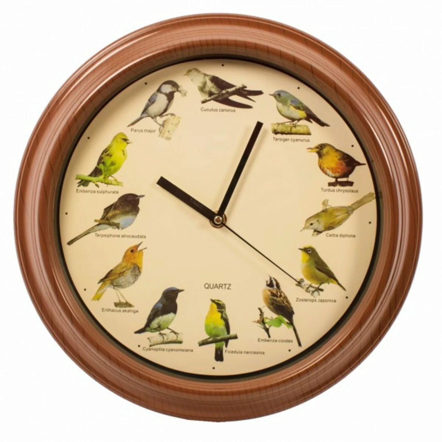 Out of the Blue Wanduhr Wanduhr günstig online kaufen
