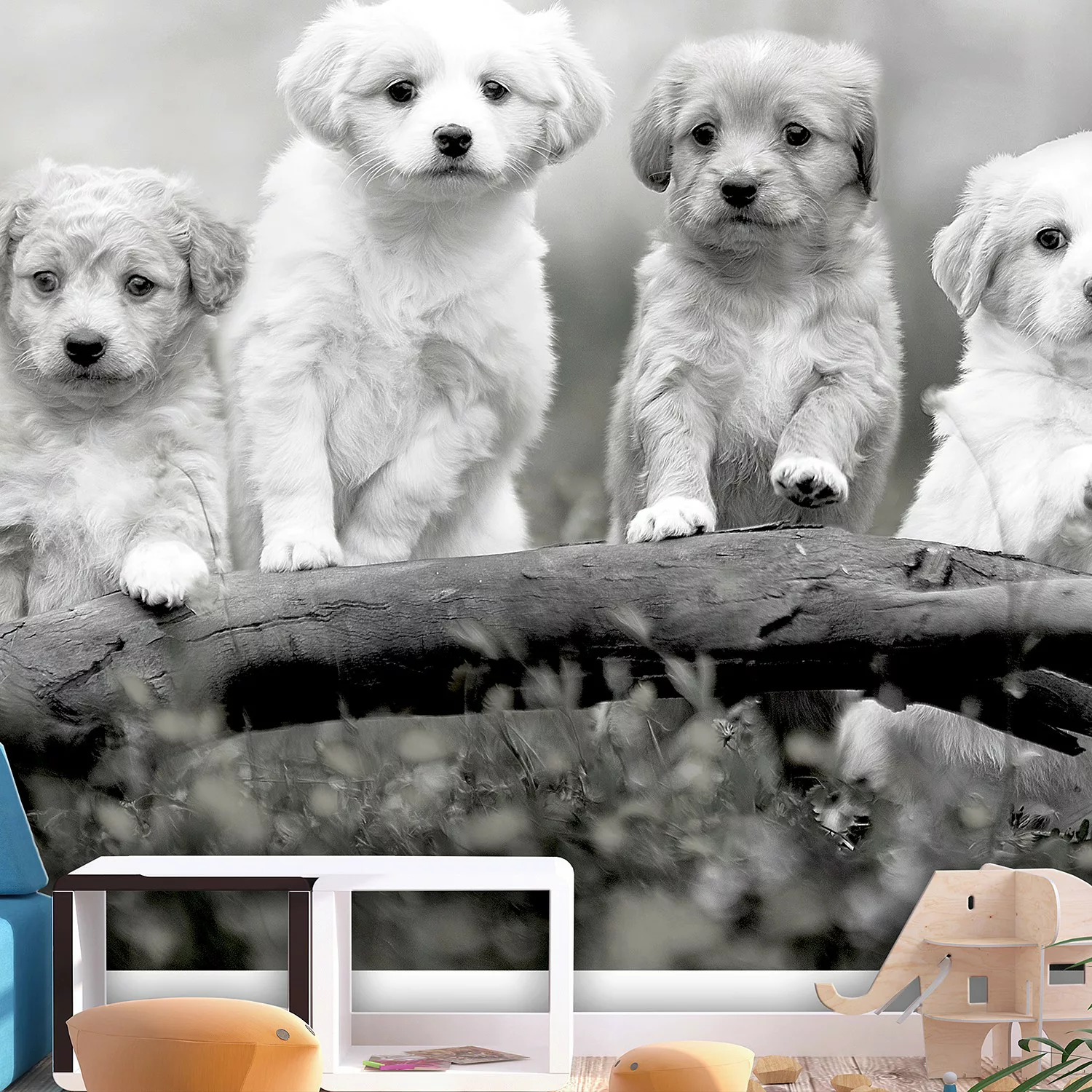 home24 Vlies Fototapete Four Puppies günstig online kaufen