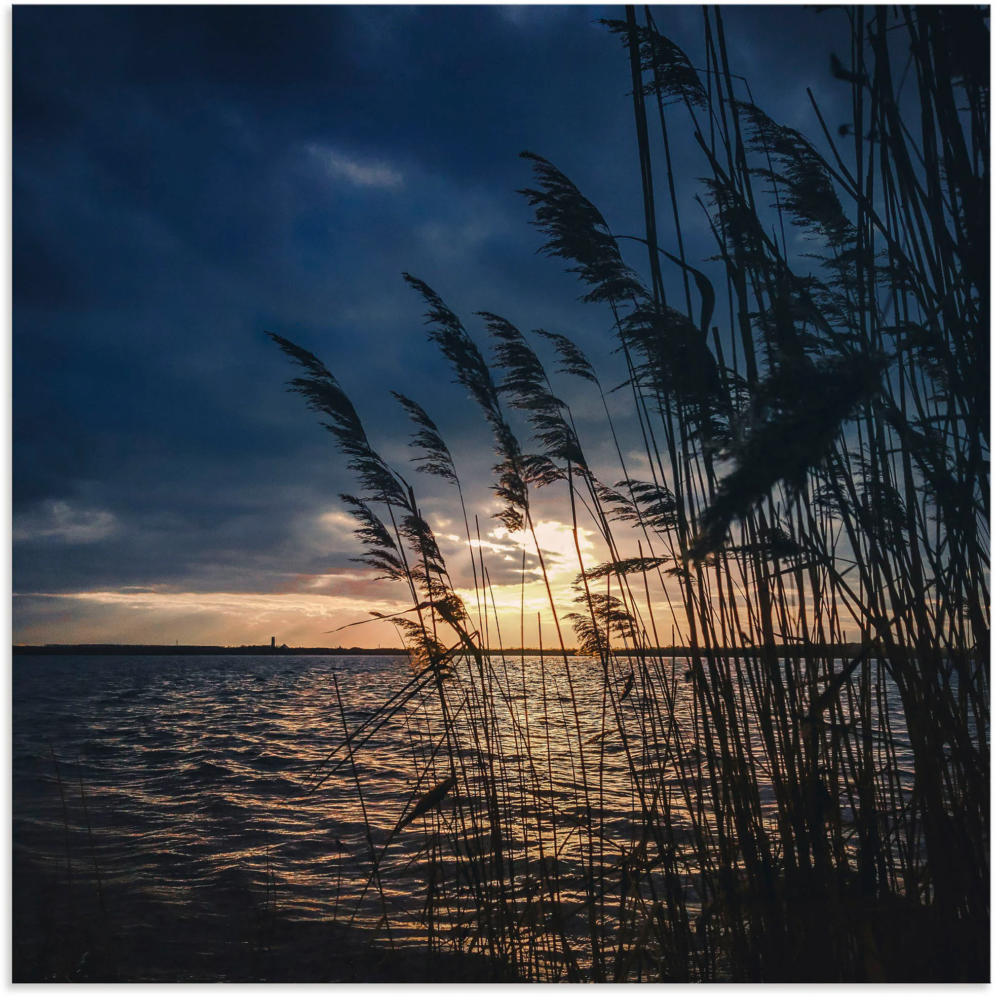 Artland Alu-Dibond-Druck »Sonnenuntergang mit Schilf am See«, Seebilder, (1 günstig online kaufen