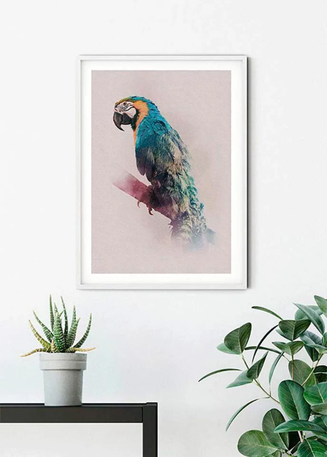 Komar Poster »Animals Paradise Parrot«, Tiere, (1 St.) günstig online kaufen