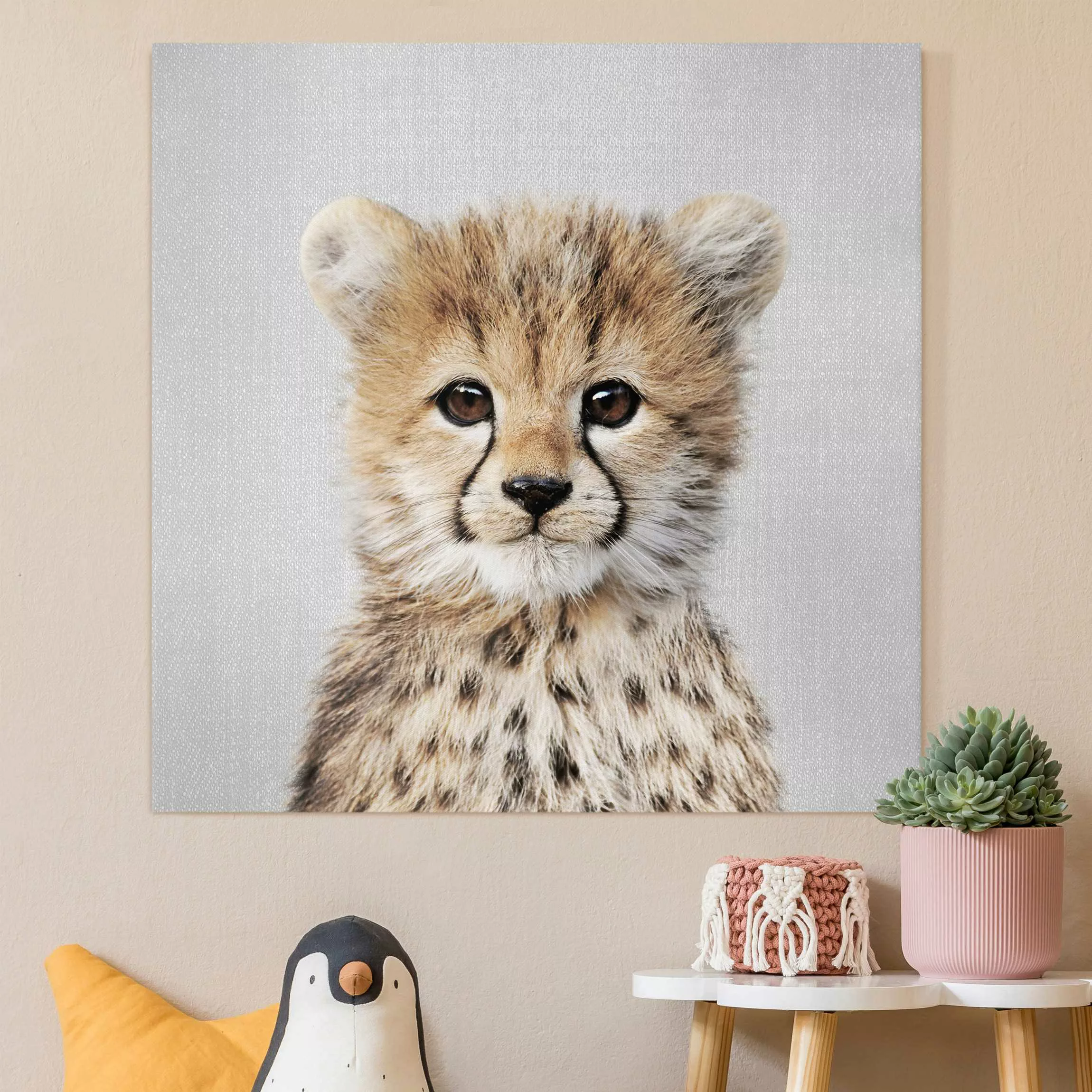 Leinwandbild Baby Gepard Gino günstig online kaufen