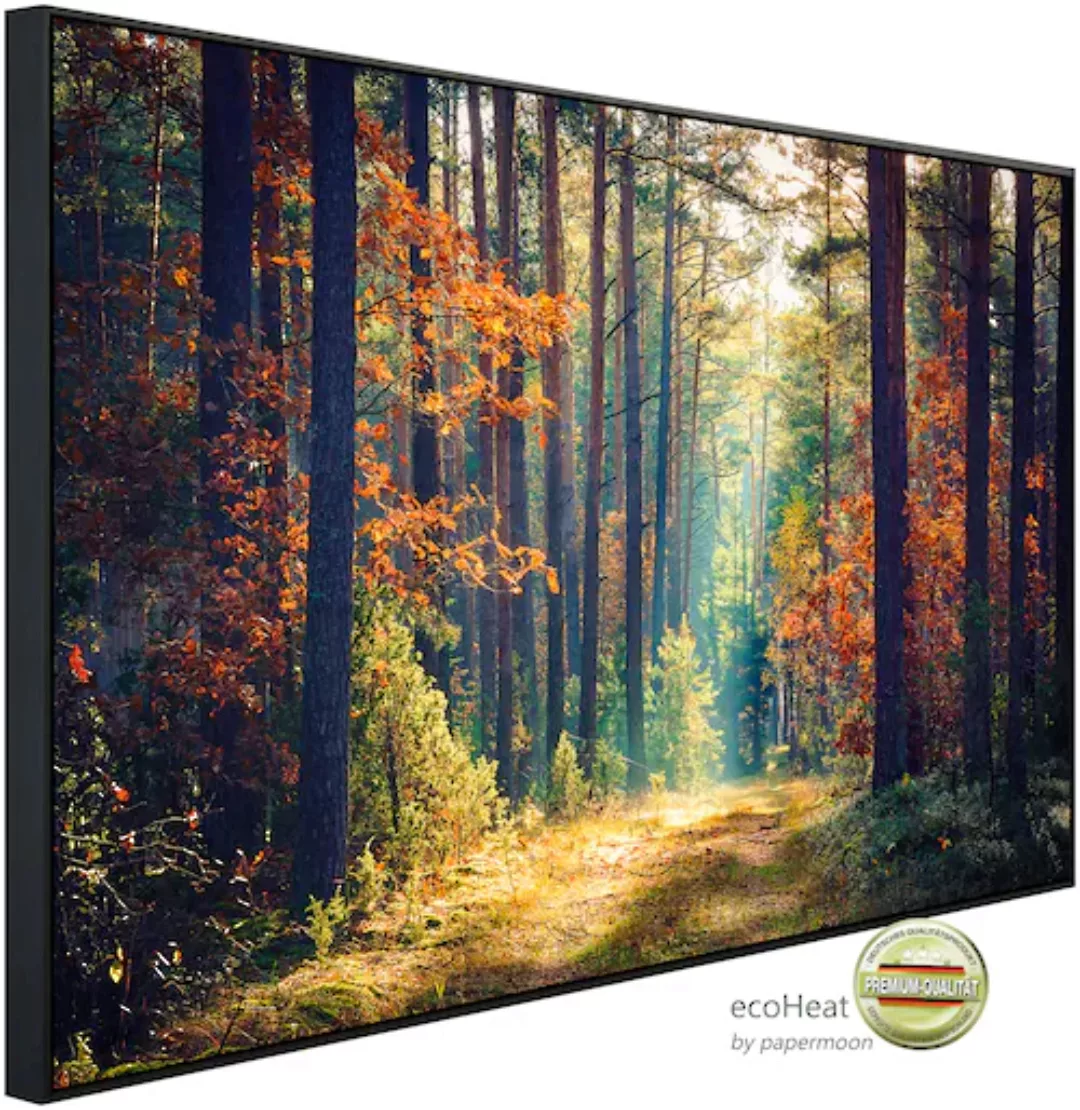 Papermoon Infrarotheizung »Herbstwald Sonnenstrahlen«, sehr angenehme Strah günstig online kaufen