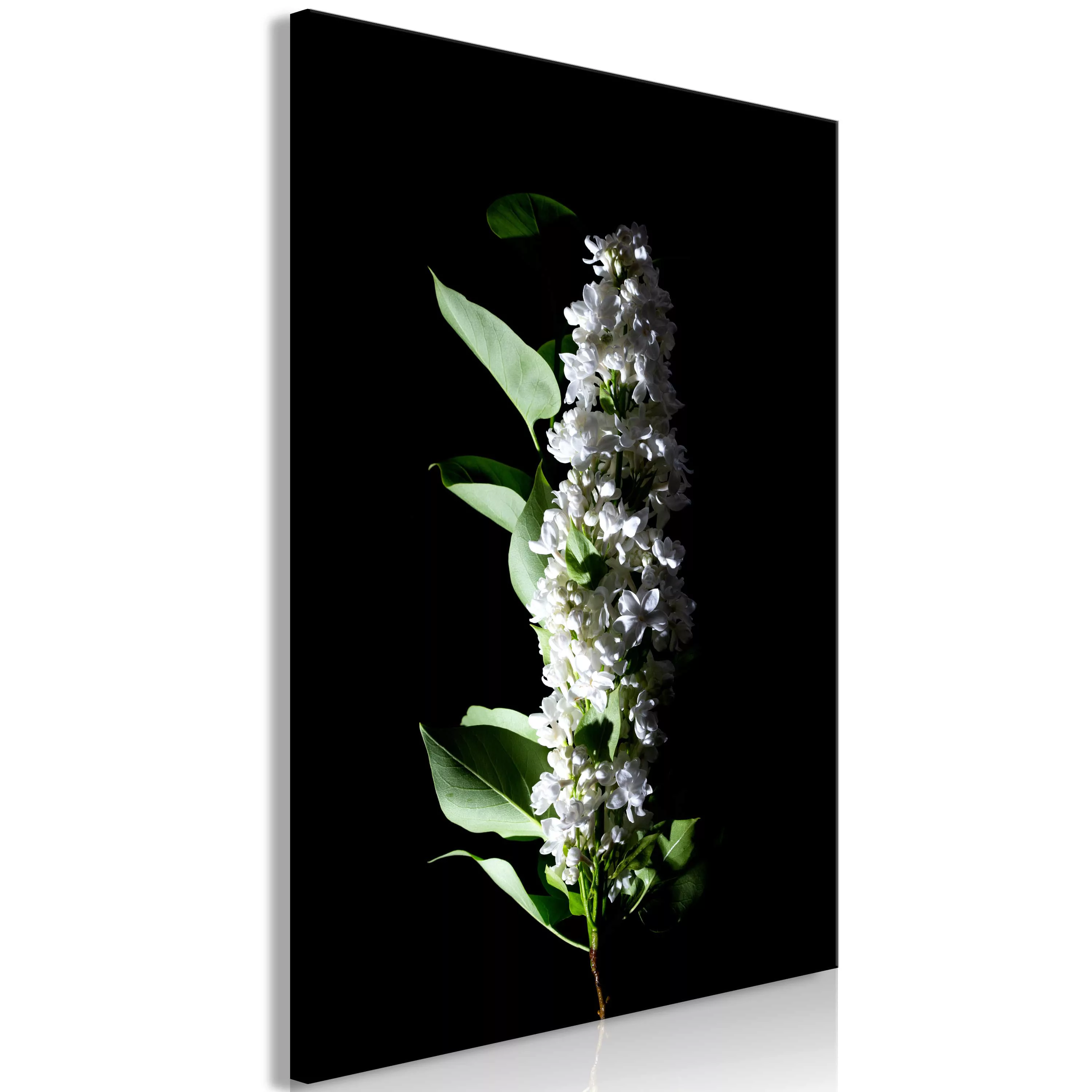 Wandbild - White Lilacs (1 Part) Vertical günstig online kaufen