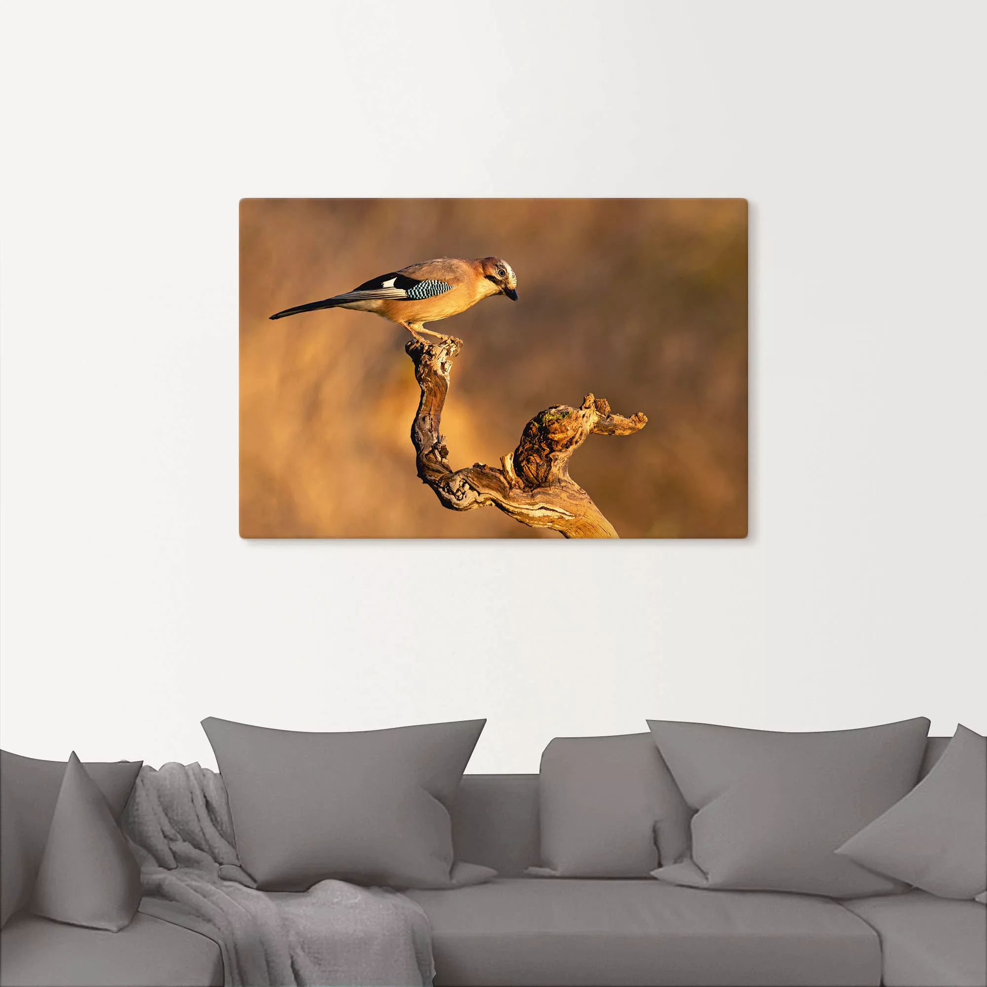 Artland Wandbild »Eichelhäher«, Vogelbilder, (1 St.), als Leinwandbild, Pos günstig online kaufen