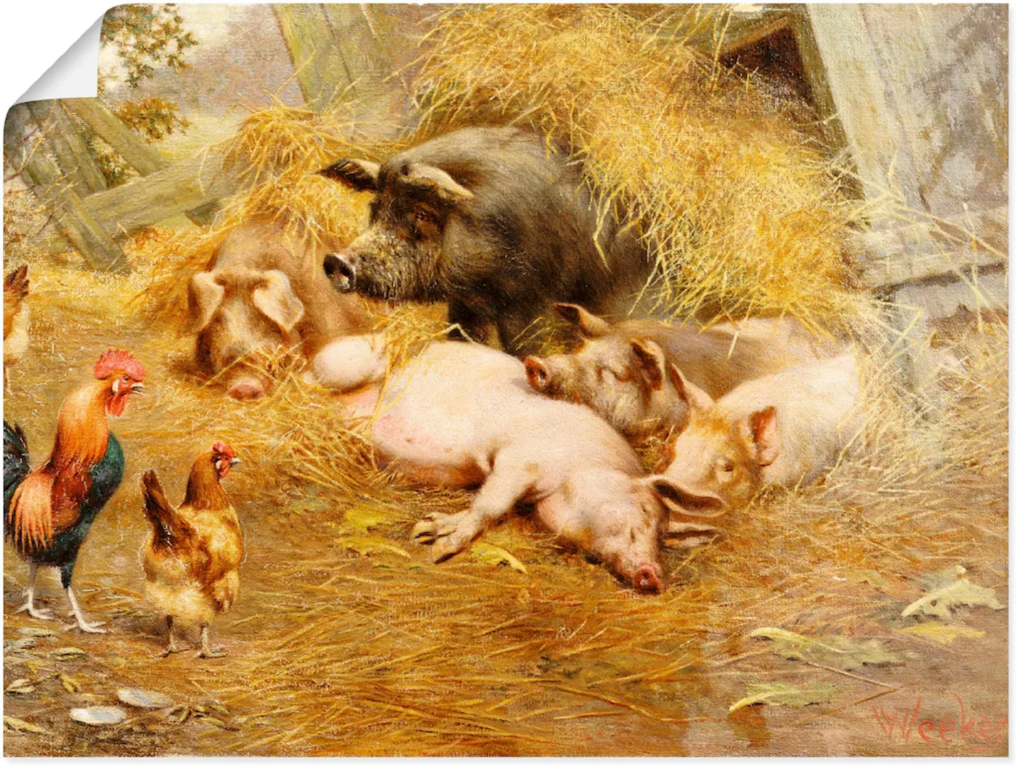 Artland Wandbild "Glückliches Tierleben.", Haustiere, (1 St.), als Leinwand günstig online kaufen