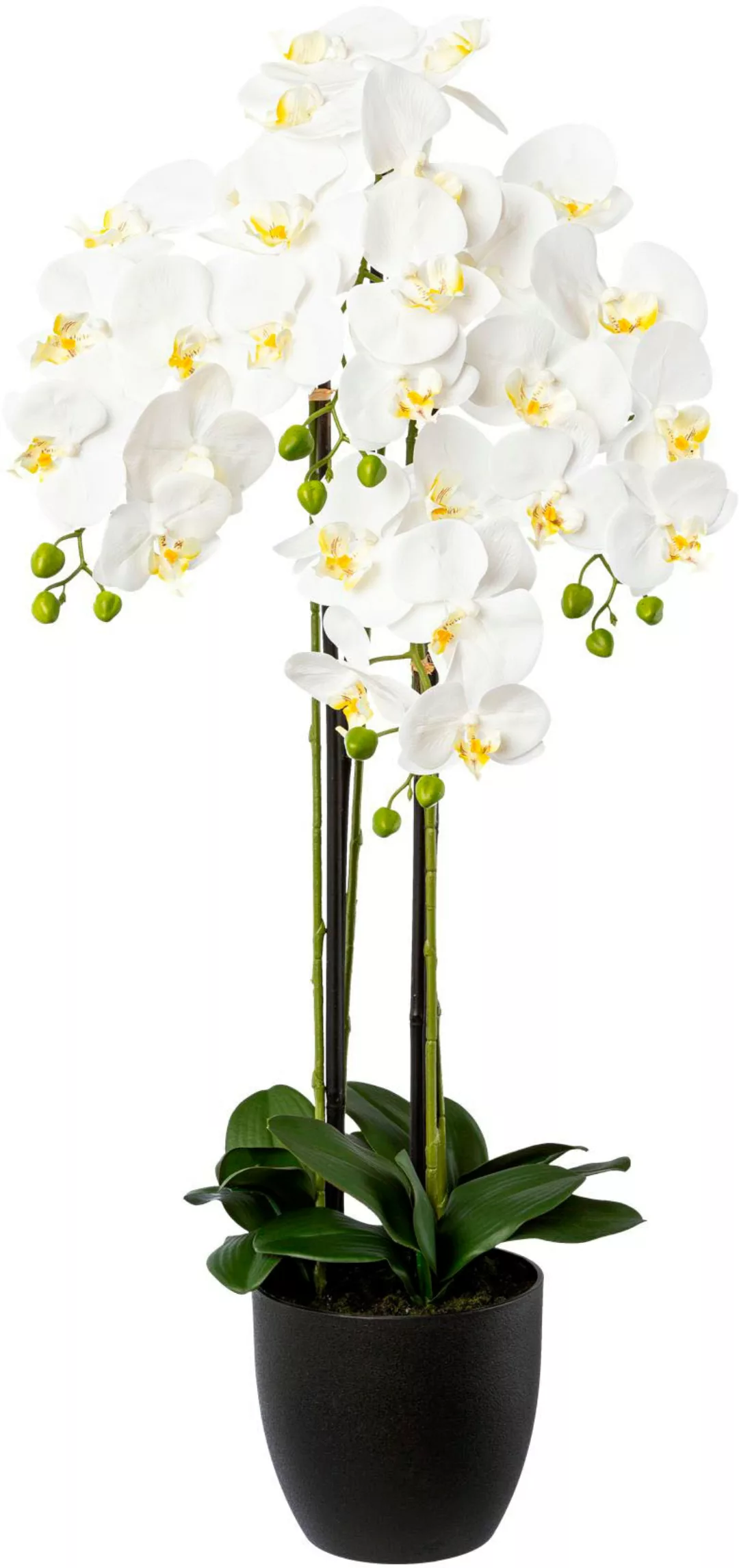Creativ green Kunstorchidee "Phalaenopsis im Resintopf", mit Real-Touch-Blü günstig online kaufen