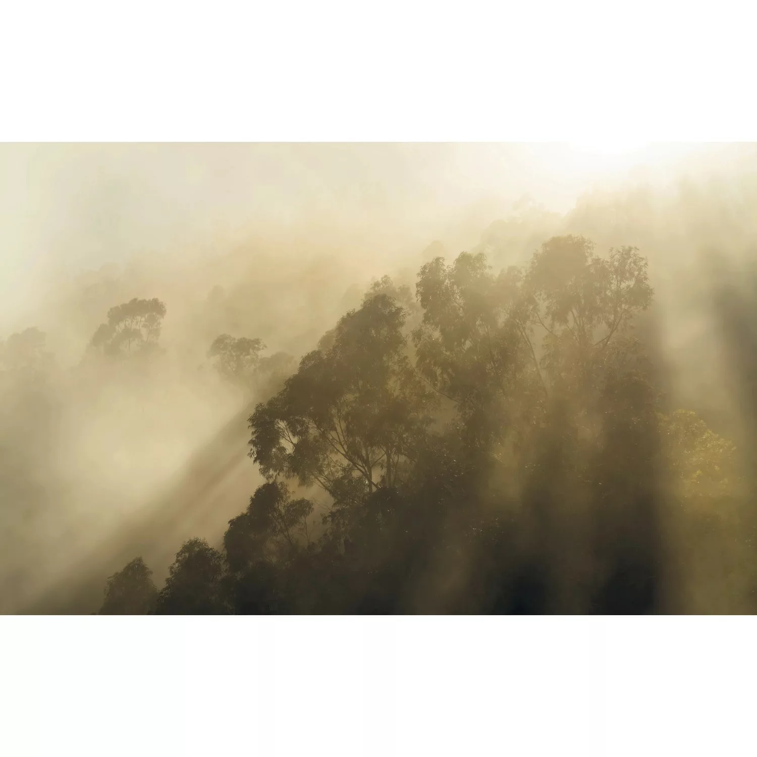 Komar Vliestapete »Misty Mountain«, 400x250 cm (Breite x Höhe), Vliestapete günstig online kaufen