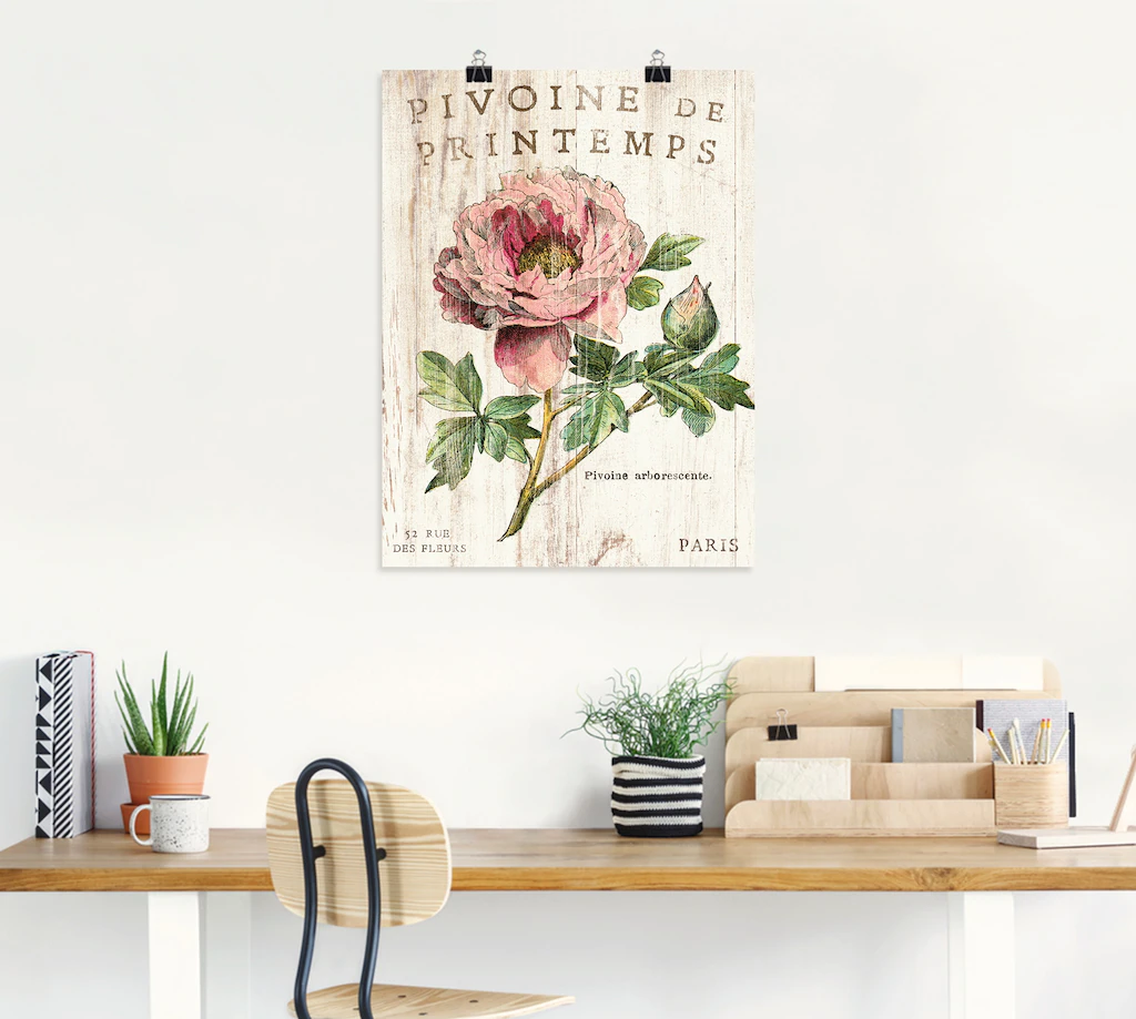 Artland Wandbild »Pfingstrose«, Blumen, (1 St.), als Leinwandbild, Poster, günstig online kaufen