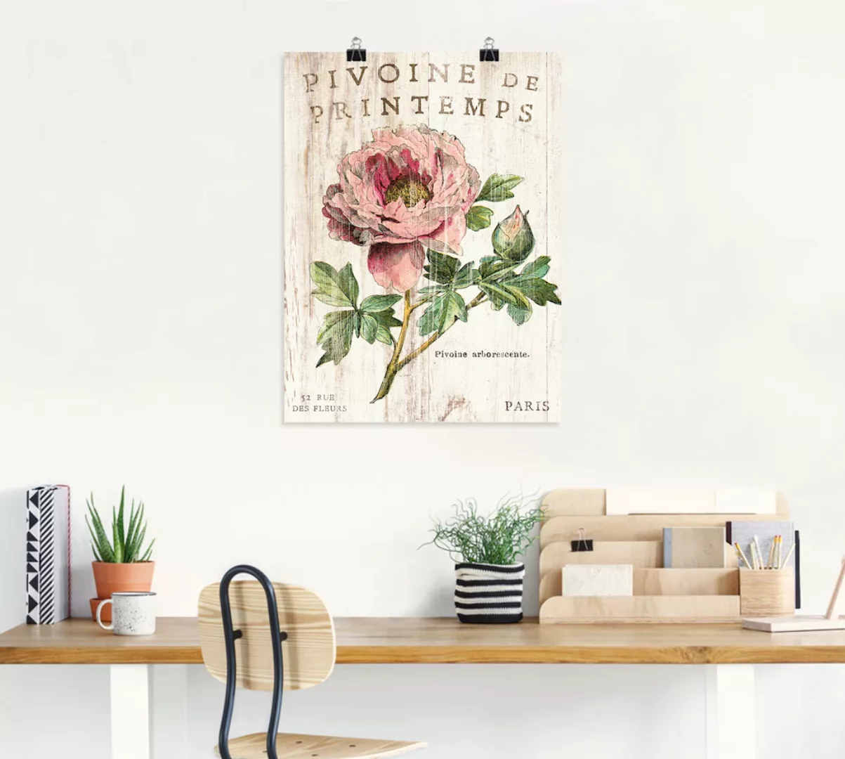 Artland Wandbild "Pfingstrose", Blumen, (1 St.), als Leinwandbild, Poster, günstig online kaufen