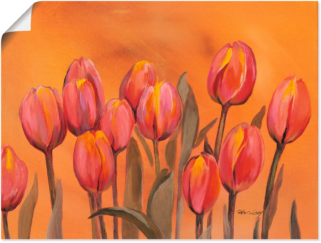 Artland Poster "Tulpen", Blumen, (1 St.), als Alubild, Leinwandbild, Wandau günstig online kaufen