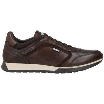 Pikolinos  Sneaker CAMBIL M5N-6247C1 günstig online kaufen