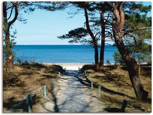 Artland Wandbild "schöne Ostseeküste", Gewässer, (1 St.), als Leinwandbild, günstig online kaufen