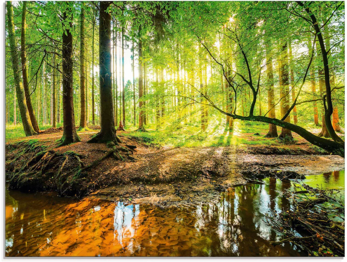 Artland Glasbild "Wald mit Bach", Wald, (1 St.), in verschiedenen Größen günstig online kaufen