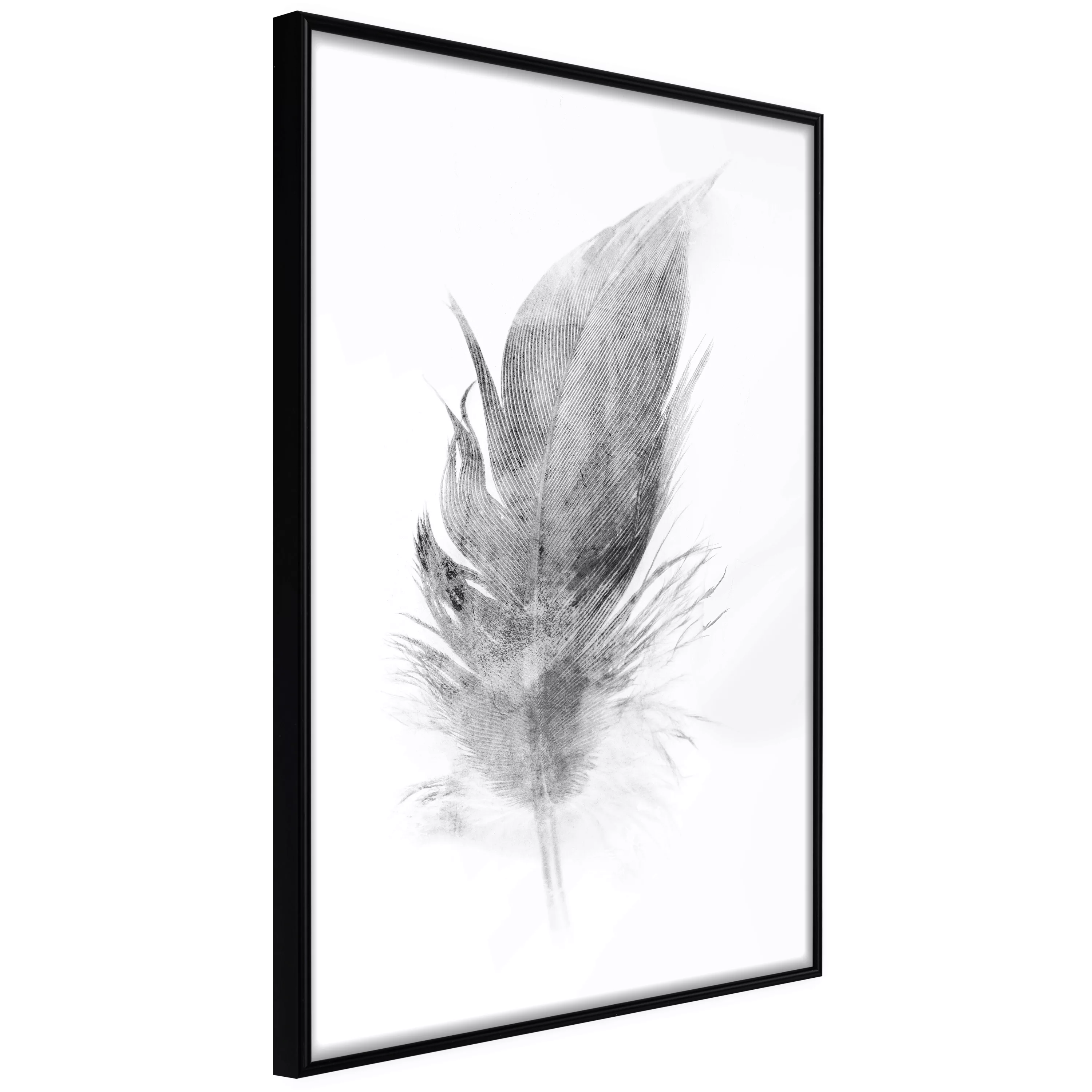 Poster - Lost Feather (grey) günstig online kaufen